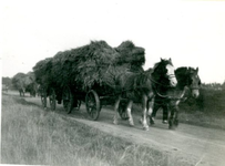 011 De binnenhalen van de oogst. Twee aangespannen paarden voor twee achter elkaar bevestigde wagens