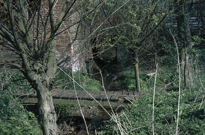 22-3-27 Bij de watermolen van Haus Diepenbrock