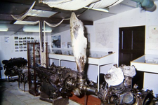 2193 AVOG's Crashmuseum