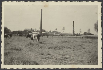 0770 Klompenmaker Jansen, later deurenfabriek Svedex