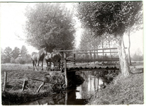 1095-14-037 Een nostalgische opname van de Eefsebeek, met paarden in de wei. Deze beek is ruim 12 km. lang en werd in ...