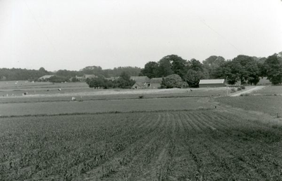 1095-40-0672 Op de voorgrond boerderij Nijenhuis. Links achter boerderij Smienk