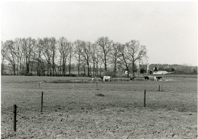 1095-40-0881 In de verte boerderij Schoolthof