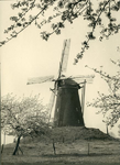 1281-06-001 Bronkhorster molen eigenaar gemeente Steenderen