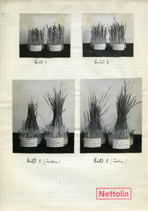 9-0002 Foto's diverse onderzoeken , 1927-1951