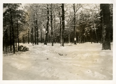 14-0133 Sneeuwlandschap, 1925