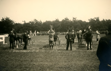 14-0224 Aantal inspanningen die meedoen aan het concours hippique, 1925-1928