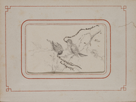 1609-0020 Tekening van twee vogels, 1874-1876