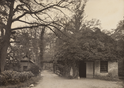 1619-0043 Gebouw van de waterkorenmolen bij het huis Ruurlo; op dat moment in gebruik als schildersloods, ca. 1900