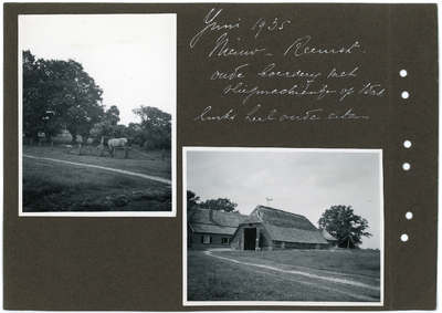 226.01-0005 Juni 1935. Nieuw-Reemst. Oude boerderij met vliegmachientje op 't dak. Links heel oude eiken. , 1935