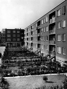 10183 Rodenburgstraat, Augustus 1954