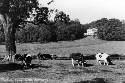 14123 Sonsbeek, 1930-1940