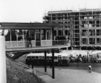 15013 Steenstraat, Augustus 1954