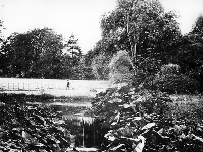 18917 Zijpendaal, ca. 1905