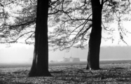 19105 Zijpendaalseweg, 1940-1950