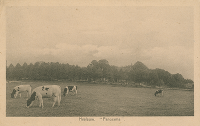 1031 Heelsum Panorama, 1920-1930