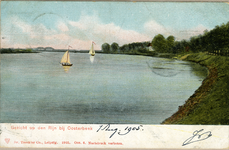 3171 Gezicht op den Rijn bij Oosterbeek, 1905