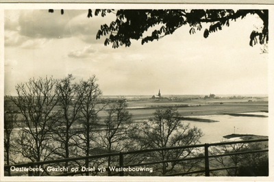 3246 Oosterbeek, Gezicht op Driel v/a Westerbouwing, 1930-1940
