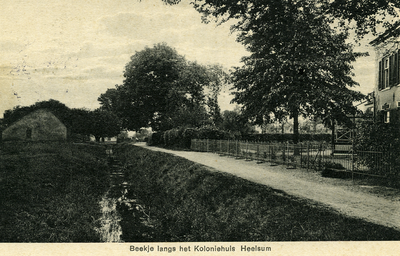 3453 Beekje langs het Koloniehuis Heelsum, 1918-1930