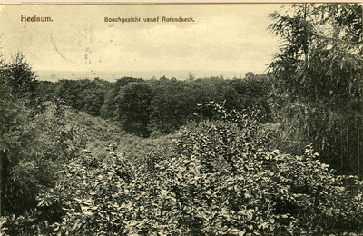 450 Heelsum. Boschgezicht vanaf Rolandseck, 1910-1920