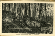 1239-0008 Rosendaal, Ingang onderaardsche gang , 1927