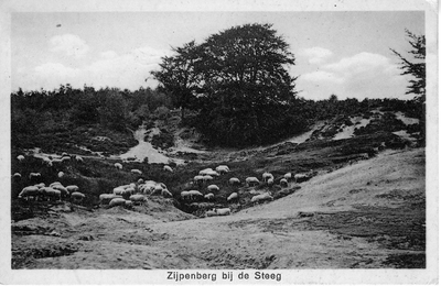 1439 Zijpenberg bij de Steeg, 1925-07-02