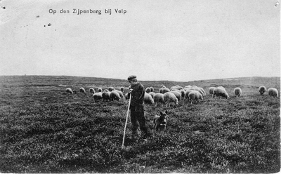 1441 Op den Zijpenberg bij Velp, 1915-08-20