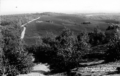 1471 Panorama Zijpenberg, Rhedensche heide, 1900-1930