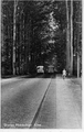 1808 Dieren, Middachter Allee, 1953-07-14