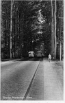 1808 Dieren, Middachter Allee, 1953-07-14