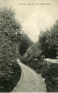 2524 Zandweg naar de Prins Willemberg , 1909-06-21