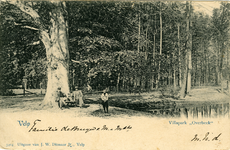 773 Velp, Villapark Overbeek , 1906-01-08