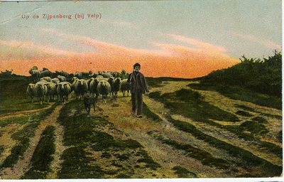 819 Op de Zijpenberg (bij Velp), 1908-06-08