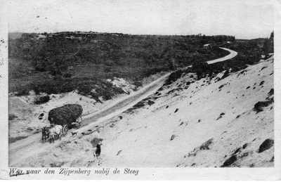 1464 Weg naar den Zijpenberg nabij de Steeg, 1910-1920