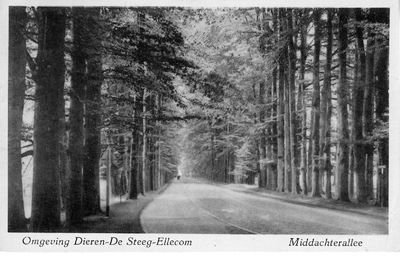 1781 Omgeving Dieren-De Steeg-Ellecom, Middachterallee, 1941-08-14