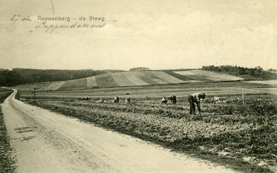 2200 De Steeg, bij de Rouwenberg Lappendeken , 1930-1940