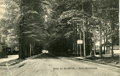 2650 Groet uit Ellecom, Hotel Brinkhorst, 1916-09-29