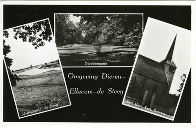 3470 Omgeving Dieren-Ellecom-de Steeg, 1950-07-07