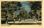 397 Velp (Gld.), Hogeweg, 1953-07-11