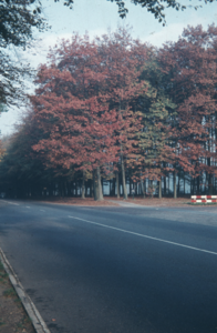 201 Amsterdamseweg, ca. 1980