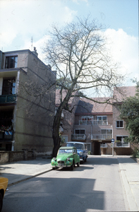 2095 Frombergdwarsstraat, 1975-1980