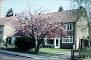2106 Gabrielstraat, 1980-1985