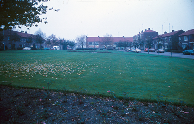 2113 Geelgorslaan, 1980-1985