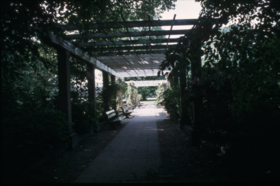 256 Park Angerenstein, ca. 1980