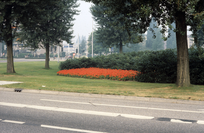 2787 De Monchyplein, 1980-1985