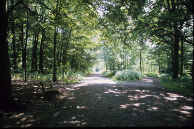 4191 Park Klarenbeek, 1980-1985