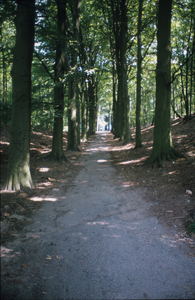 4207 Park Klarenbeek, 1980-1985