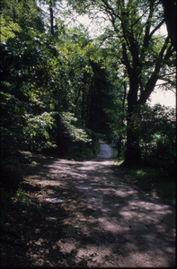 4209 Park Klarenbeek, 1980-1985