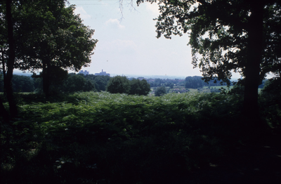 4213 Park Klarenbeek, 1980-1985