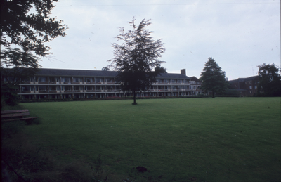 4228 Bosweg, 1980-1985